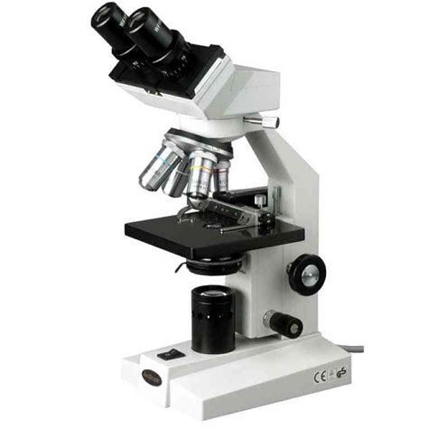 Microscopio Binocular Y Sus Partes Para Dibujar El ...