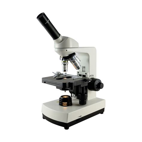 Microscopio biológico MOTIC serie Ecoline   leboriz