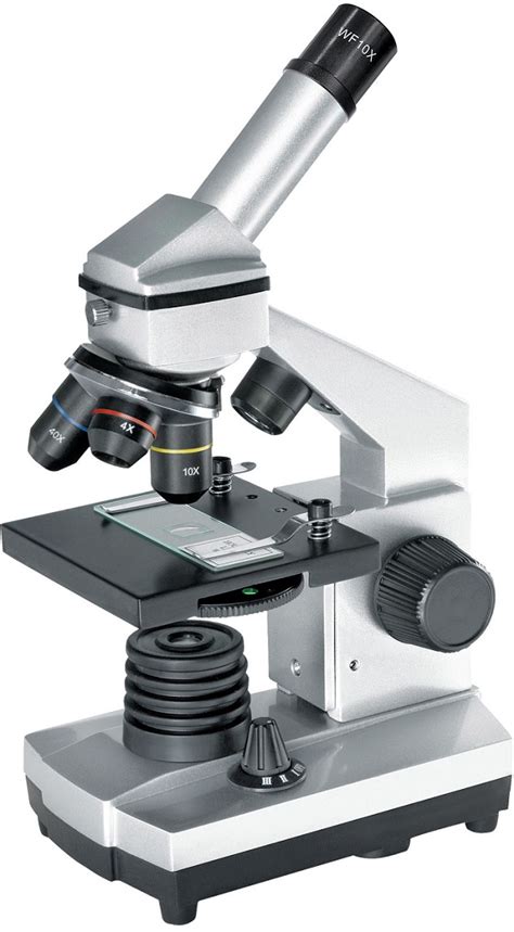 MICROSCOPIO | Como funciona, partes y tipos de microscopios