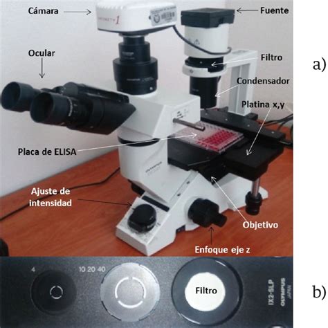 Microscopio como Lector de Absorbancia con Utilidad en ...