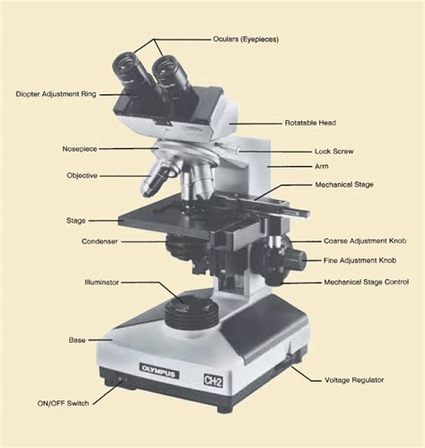 Microscopio con sus partes   Imagui