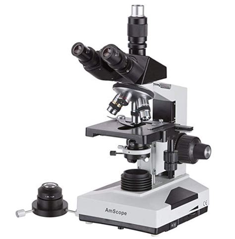 Microscopio de campo oscuro: características, partes ...