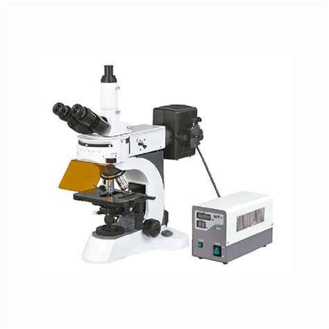 Microscopio de fluorescencia BS 7000A   Fermelo Biotec