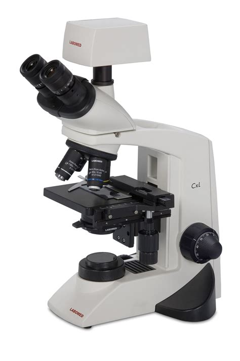Microscopio Digital Cxl Digital. LABOMED | equimlab.com