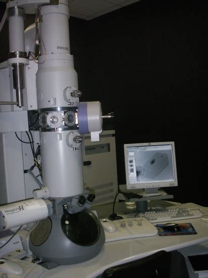 Microscopio electrónico de transmisión  MET  :: Servicios ...