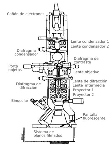 Microscopio electrónico de transmisión   Wikipedia, la ...