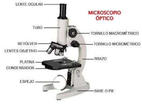 Microscopio electrónico