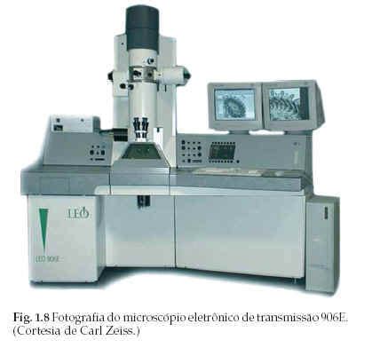 Microscópio Eletrônico: Novembro 2010