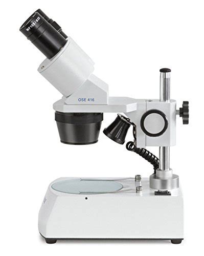Microscopio estereoscópico   funciones del microscopio ...