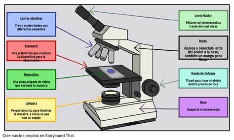 Microscopio etiquetado con funciones Storyboard