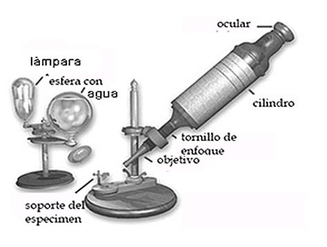 Microscopio ~ Historia de los inventos