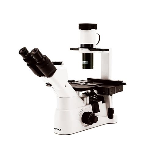 Microscopio Invertido Trinocular Biologico XDS 3