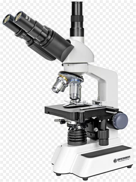 Microscopio, Microscopio óptico, Microscopio Digital ...