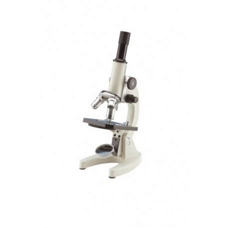 Microscopio Monocular | Microscopio para Niños | euro ...