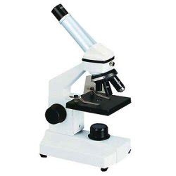 Microscópio óptico e eletrônico   Só Biologia