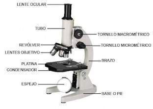 Microscopio óptico   EcuRed
