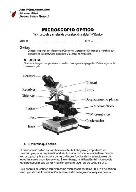 MICROSCOPIO OPTICO  Microscopia y niveles de organización ...