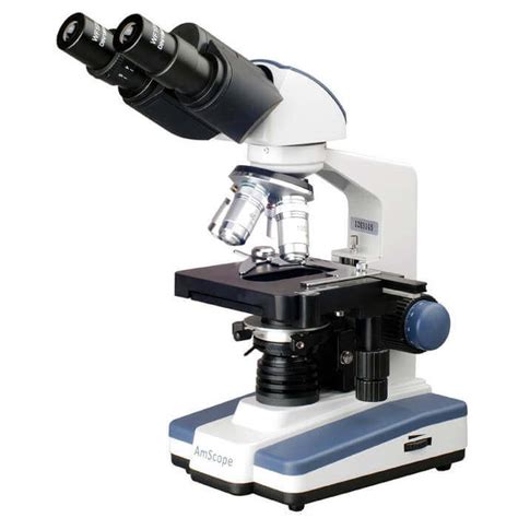 Microscopio óptico – Que es, función, partes, tipos ...