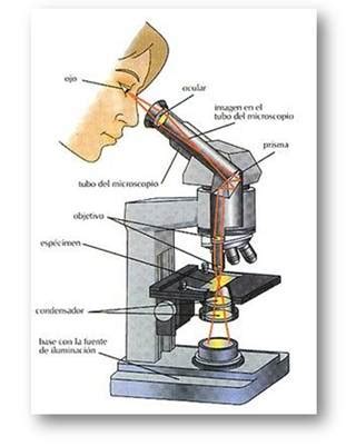 Microscopio Optico | Soluciones Técnicas