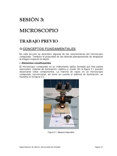 microscopio.pdf | Microscopio | Percepción visual