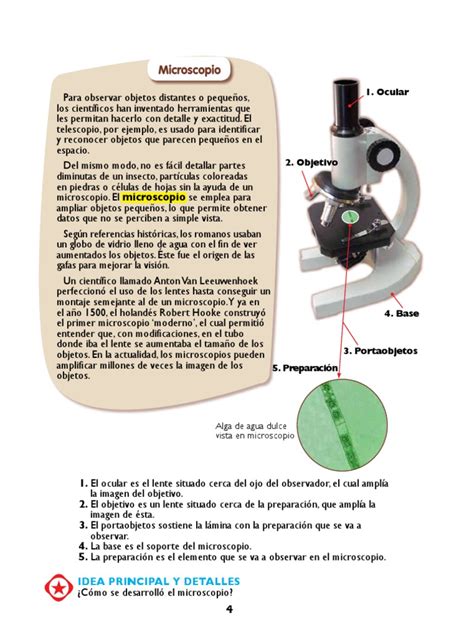 MICROSCOPIO.pdf | Microscopio | Percepción visual
