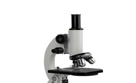 Microscopio: qué es y todo lo que necesitas saber