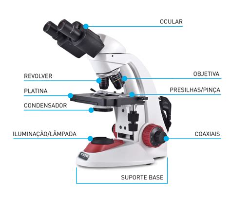 Microscópio: terminologias mais utilizadas na microscopia