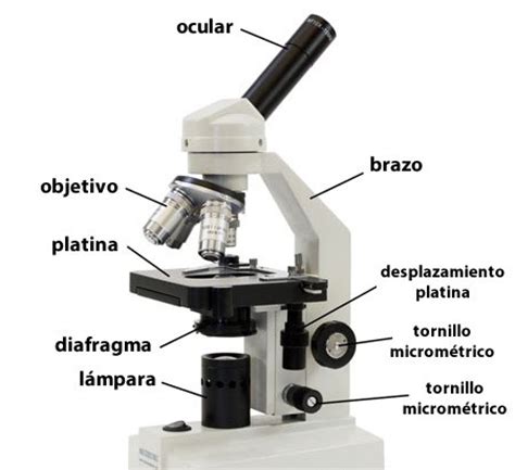 Microscopio » TP   Laboratorio Químico