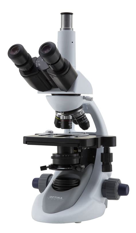 Microscopio Trinocular B 293 OPTIKA   LensForVision ...