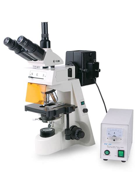Microscopio Trinocular con