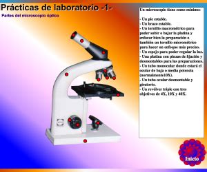 Microscopio Virtual de Genmagic » Recursos educativos ...