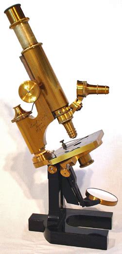 microscopio   Wikizionario