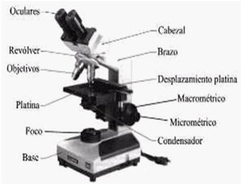 Microscopio y su historia