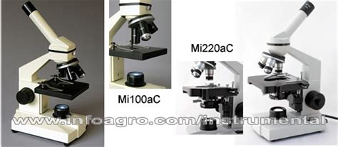 Microscopios económicos para colegios. De 40X a 1000X ...