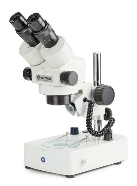 Microscopios Estereoscópicos – Universidad – Sandox ...