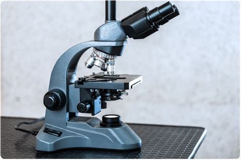 Microscopios portátiles: Ventajas y desventajas
