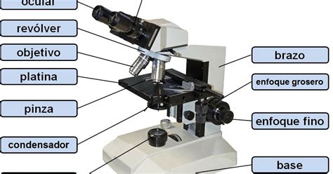 Microscopy Pictures: Partes del microscopio compuesto
