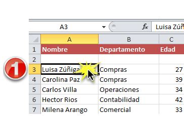 Microsoft Excel 2010: Clasificación alfabética de los datos