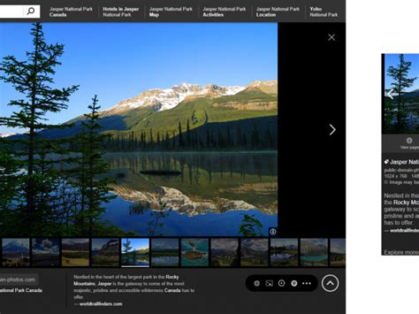 Microsoft mejora las opciones del buscador de imágenes de Bing | Silicon