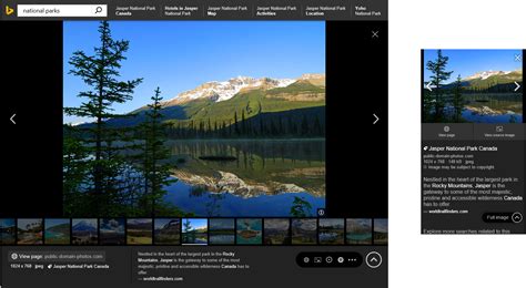 Microsoft mejora las opciones del buscador de imágenes de Bing | Silicon