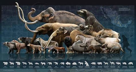 Mid American prehistoric megafauna. | Natural History. | Pinterest ...