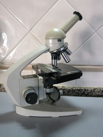MIL ANUNCIOS.COM   Microscopio carl zeiss