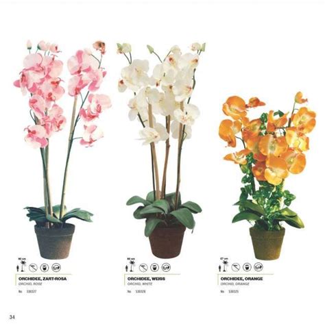 MIL ANUNCIOS.COM Mis anuncios | Orquídeas artificiales ...