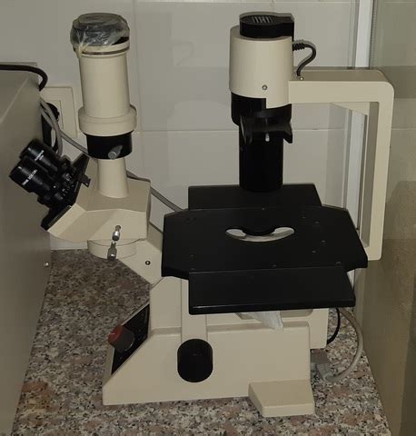 MIL ANUNCIOS.COM   Olympus CK2 microscopio toma invertida