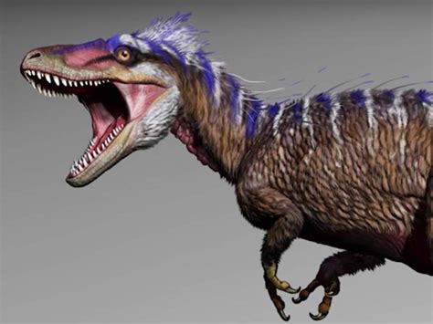 Mini T Rex: Descubierto el antepasado del Tyrannosaurus rex