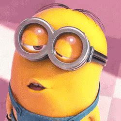 Minions GIF   Find & Share on GIPHY