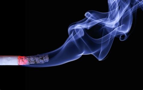 Ministério da Justiça estuda reduzir o imposto do cigarro para conter o ...