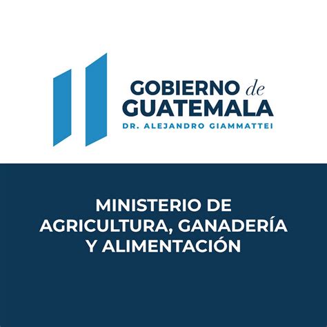 MINISTERIO DE AGRICULTURA   YouTube