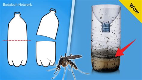 Mira el truco para eliminar los mosquitos con una botella ...