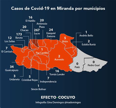 Miranda tiene 554 casos en sus municipios que integran la Gran Caracas